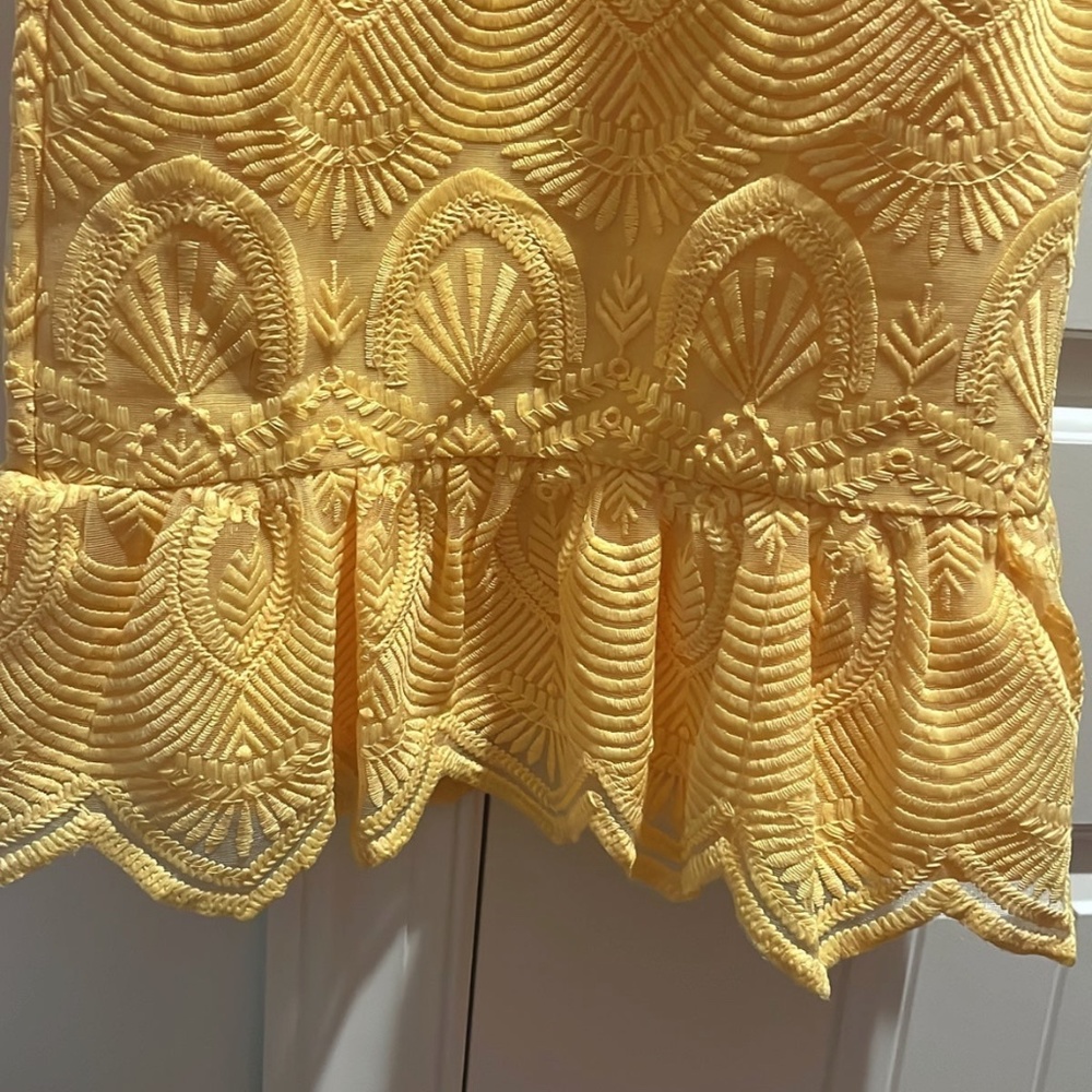 Lulus Shura Embroidered Sleeveless Dress Size X-Small View 5